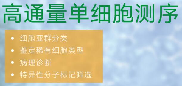 1634787965937546.jpg 1-1Q1011J014E6.jpg