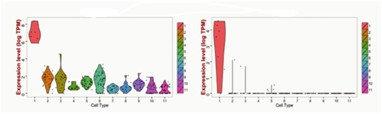 1635245336141971.png 33333.png